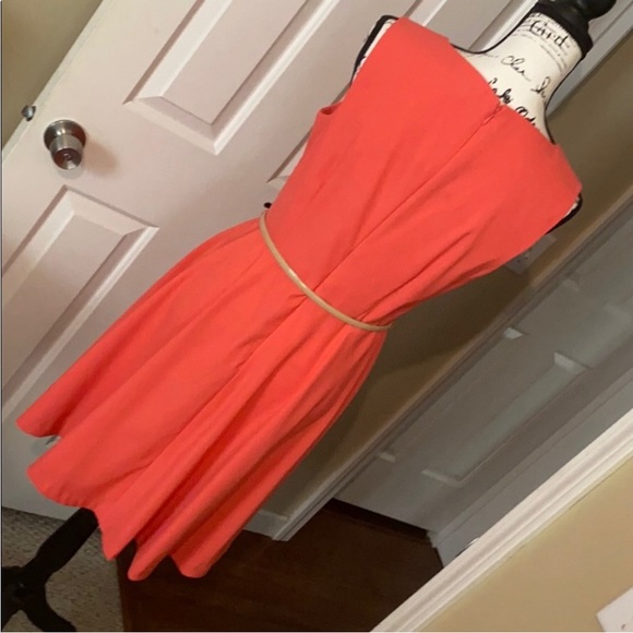 CB Established 1962 Dress - Picture 8 of 13